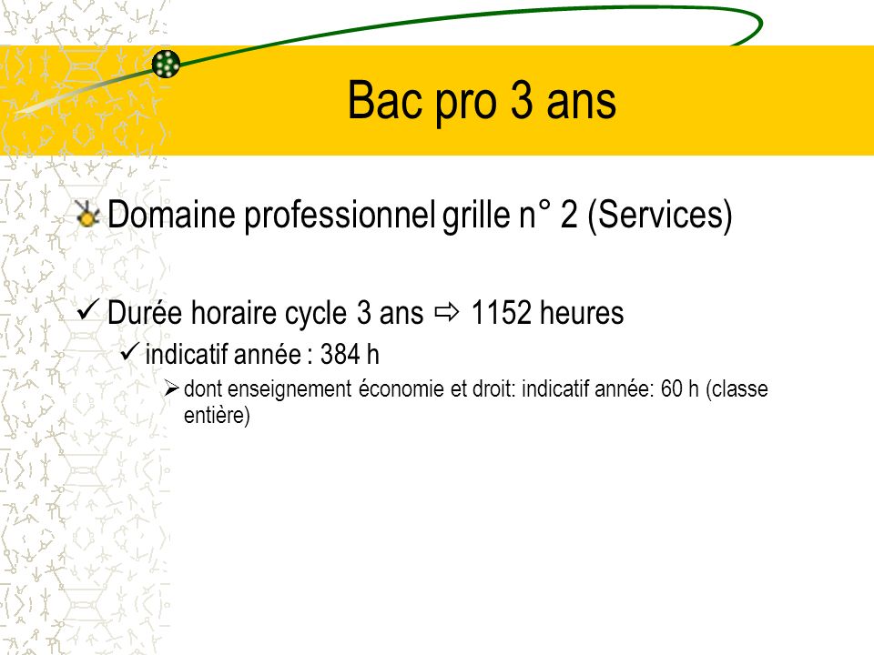 Bac pro 3 ans Domaine professionnel grille n° 2 (Services)