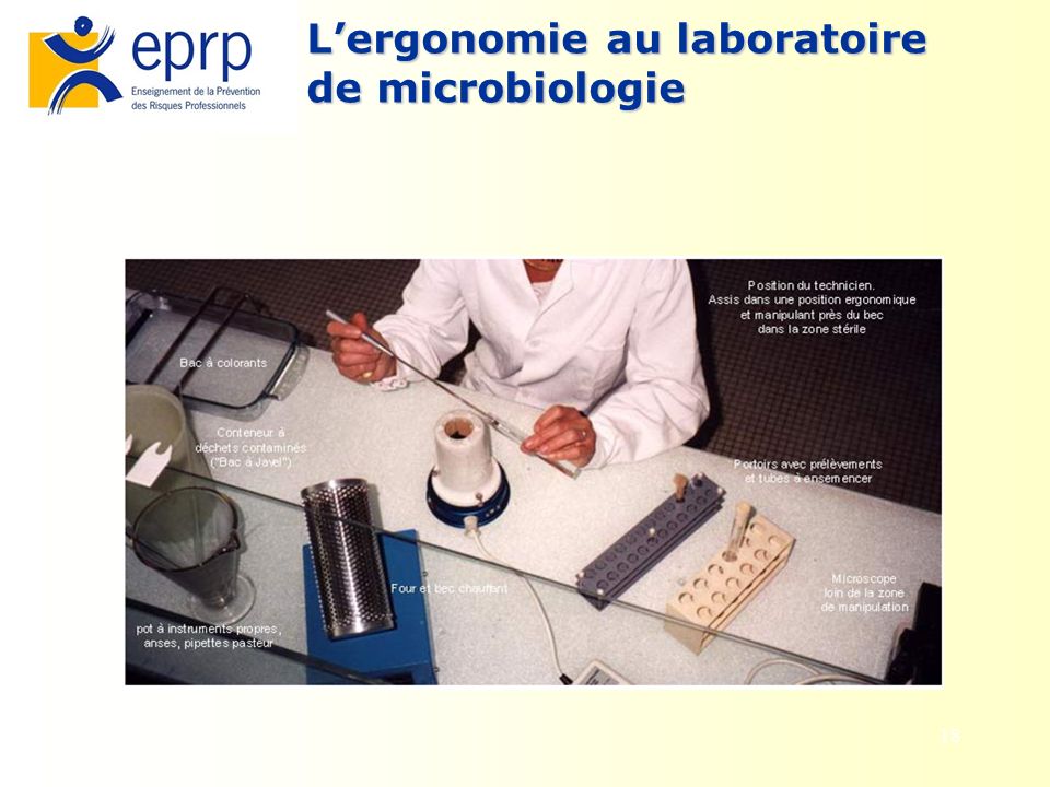 L’ergonomie au laboratoire de microbiologie