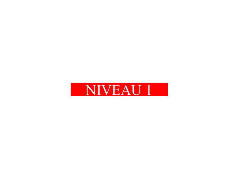 NIVEAU 1