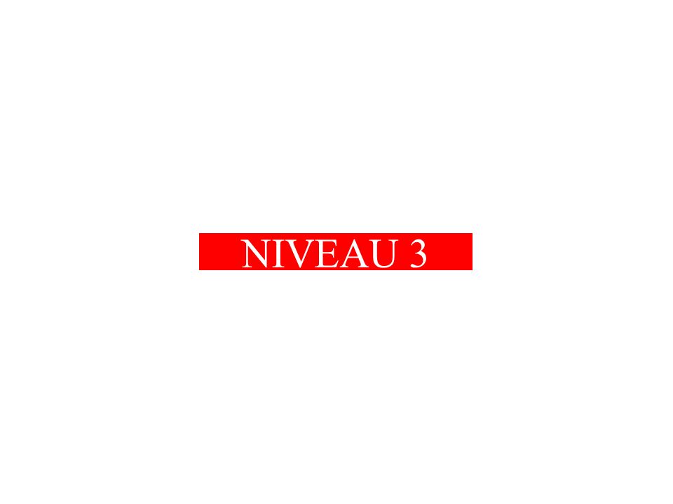NIVEAU 3