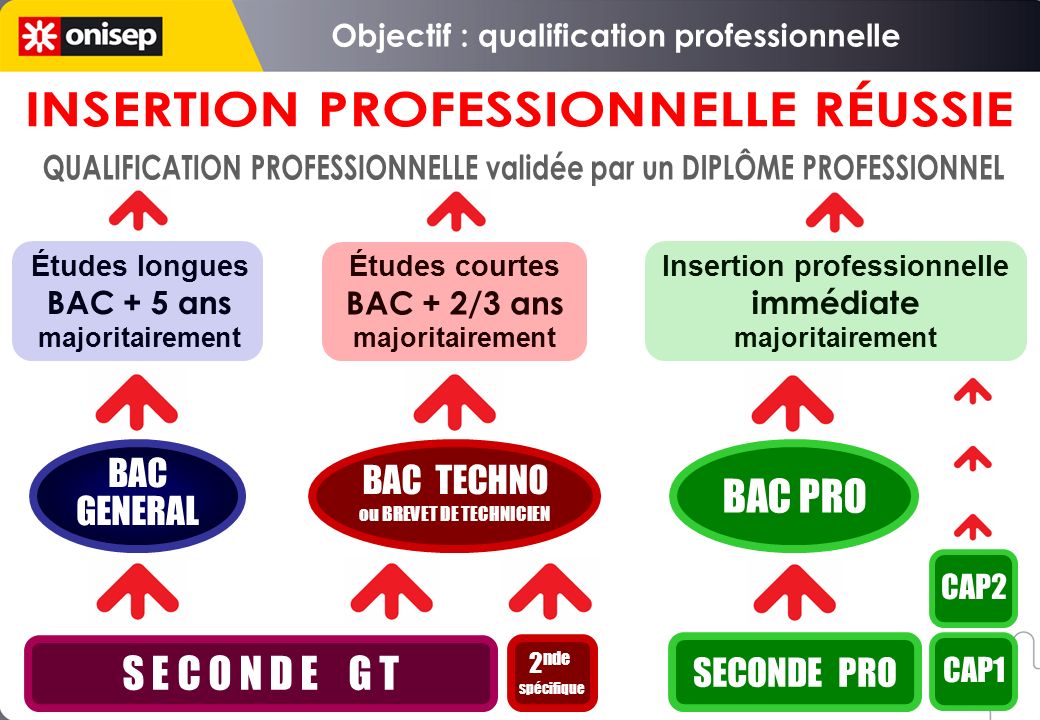 Objectif : qualification professionnelle