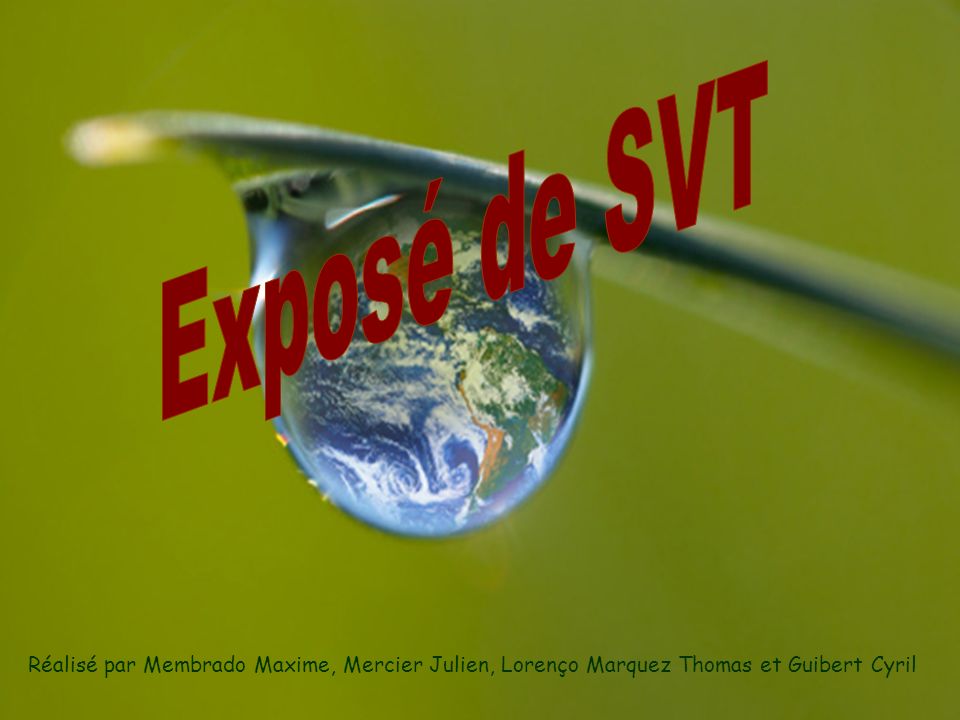 Exposé de SVT Réalisé par Membrado Maxime, Mercier Julien, Lorenço Marquez Thomas et Guibert Cyril