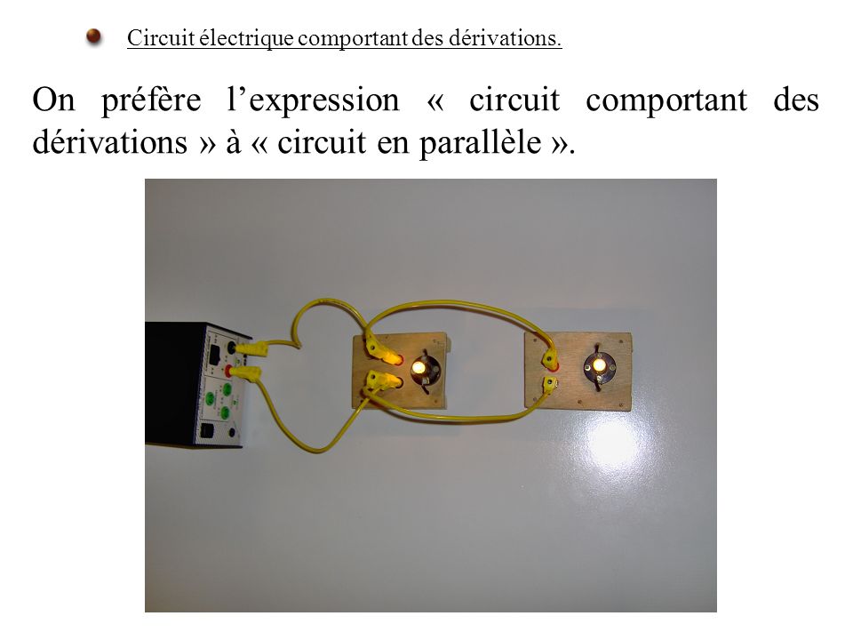 Circuit électrique comportant des dérivations.