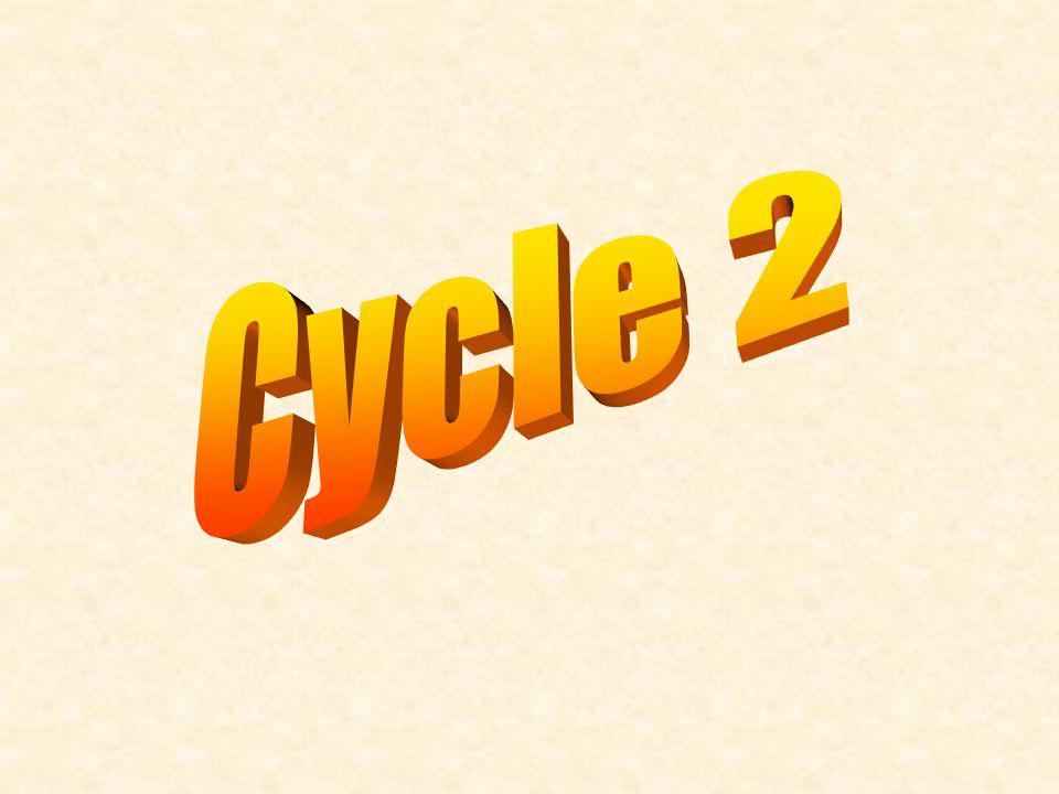 Cycle 2