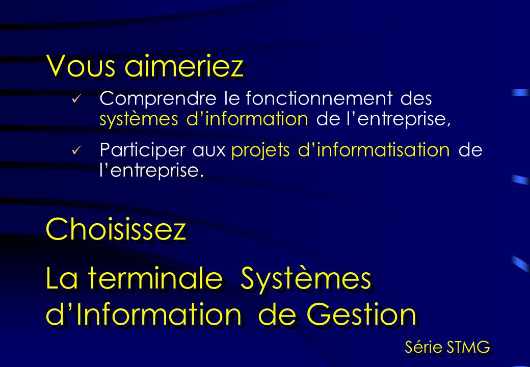La terminale Systèmes d’Information de Gestion