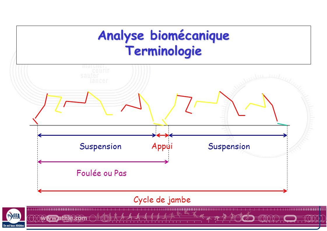 Analyse biomécanique Terminologie