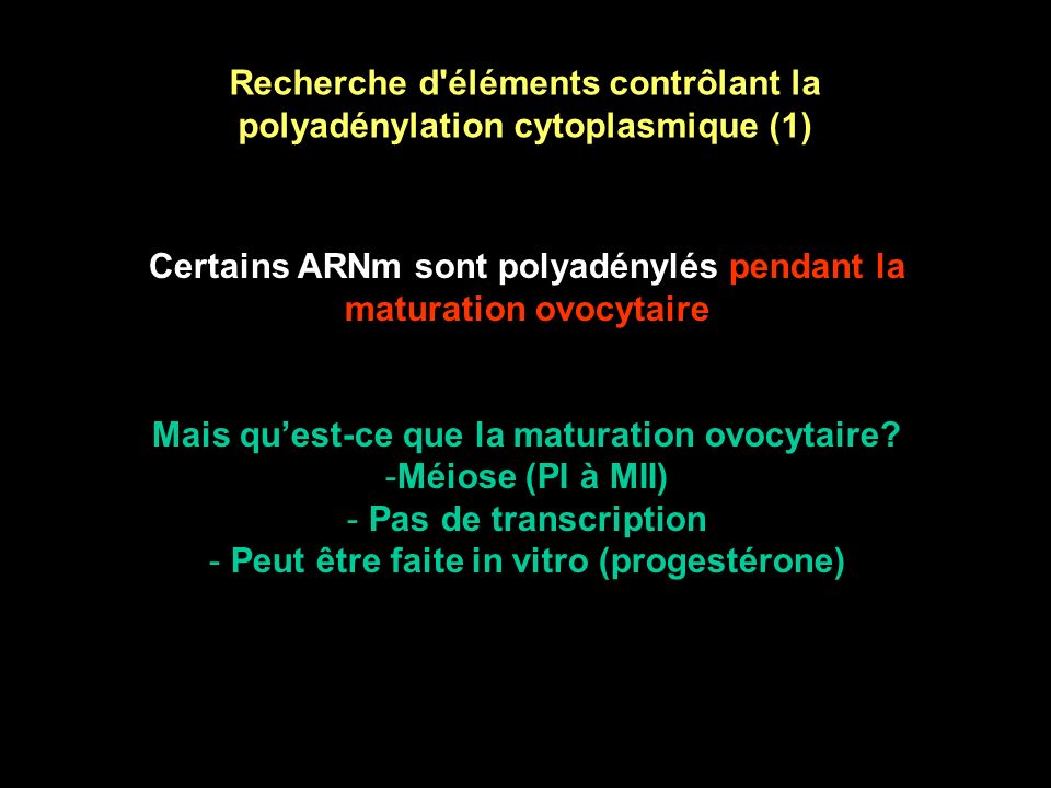 Recherche d éléments contrôlant la polyadénylation cytoplasmique (1)