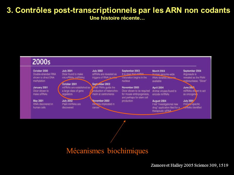3. Contrôles post-transcriptionnels par les ARN non codants