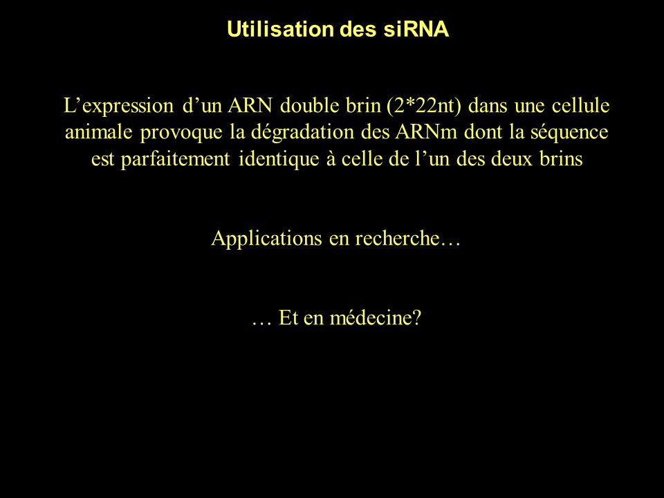 L’expression d’un ARN double brin (2*22nt) dans une cellule