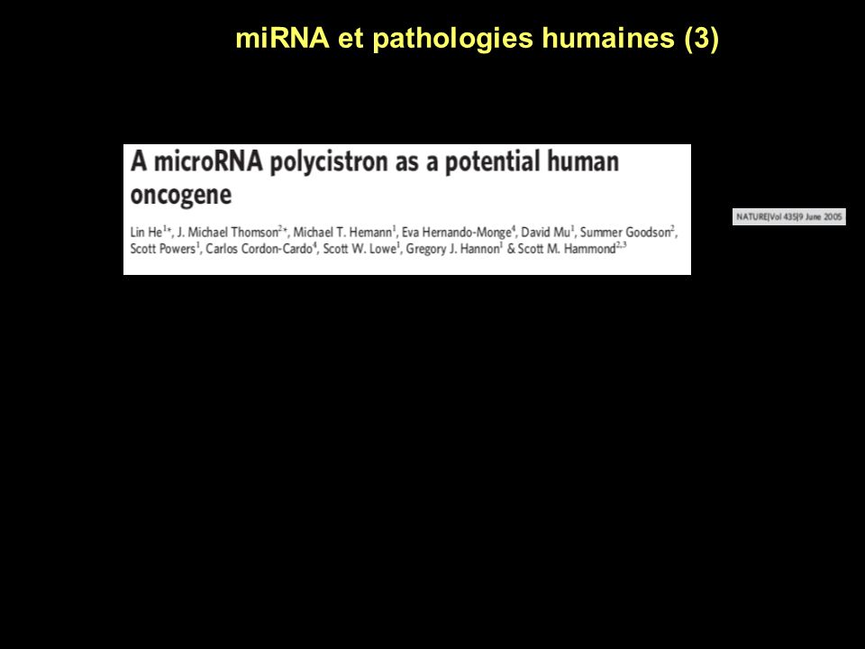 miRNA et pathologies humaines (3)