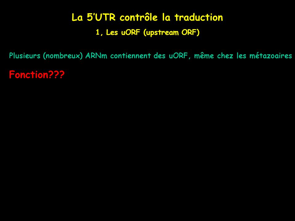 La 5’UTR contrôle la traduction 1, Les uORF (upstream ORF)