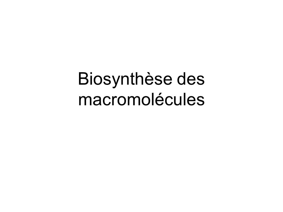 Biosynthèse des macromolécules