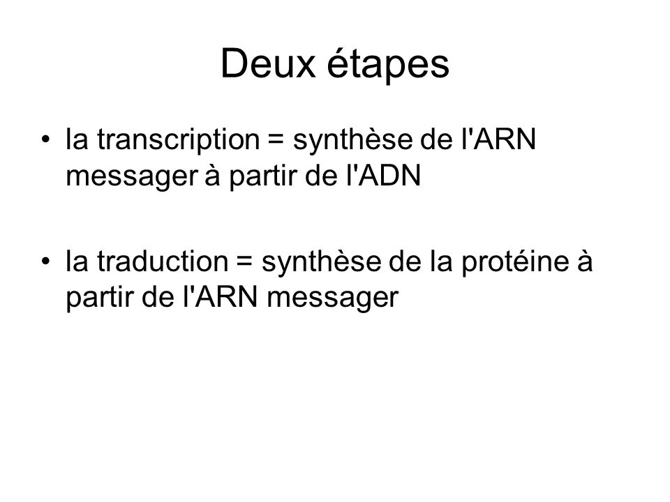 Deux étapes la transcription = synthèse de l ARN messager à partir de l ADN.
