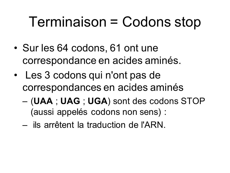 Terminaison = Codons stop