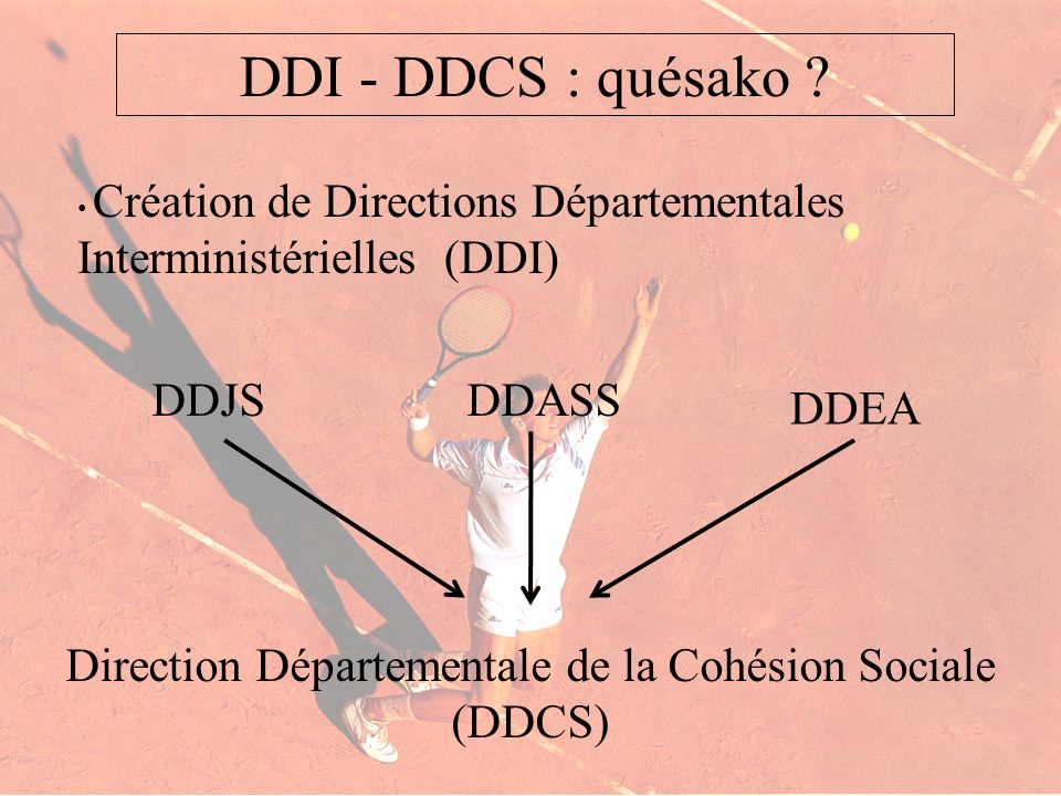 Direction Départementale de la Cohésion Sociale (DDCS)