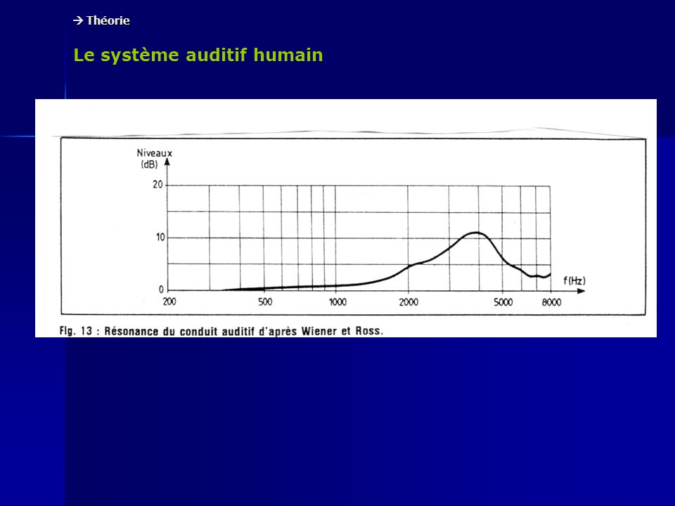 Le système auditif humain