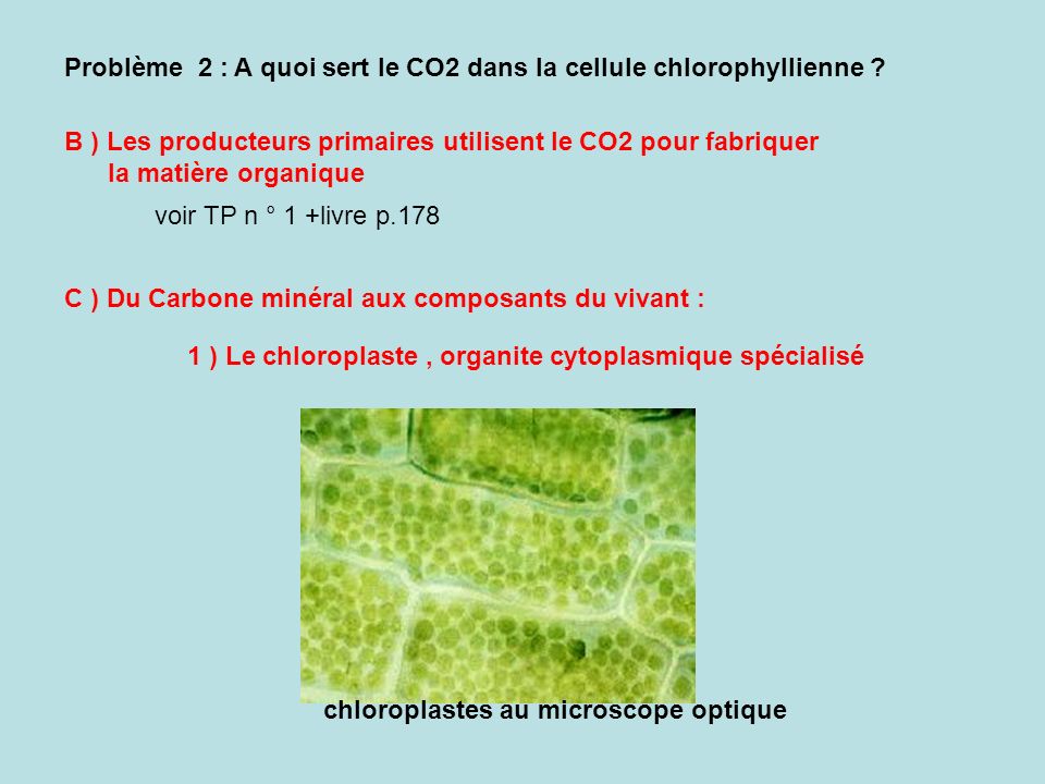 Problème 2 : A quoi sert le CO2 dans la cellule chlorophyllienne