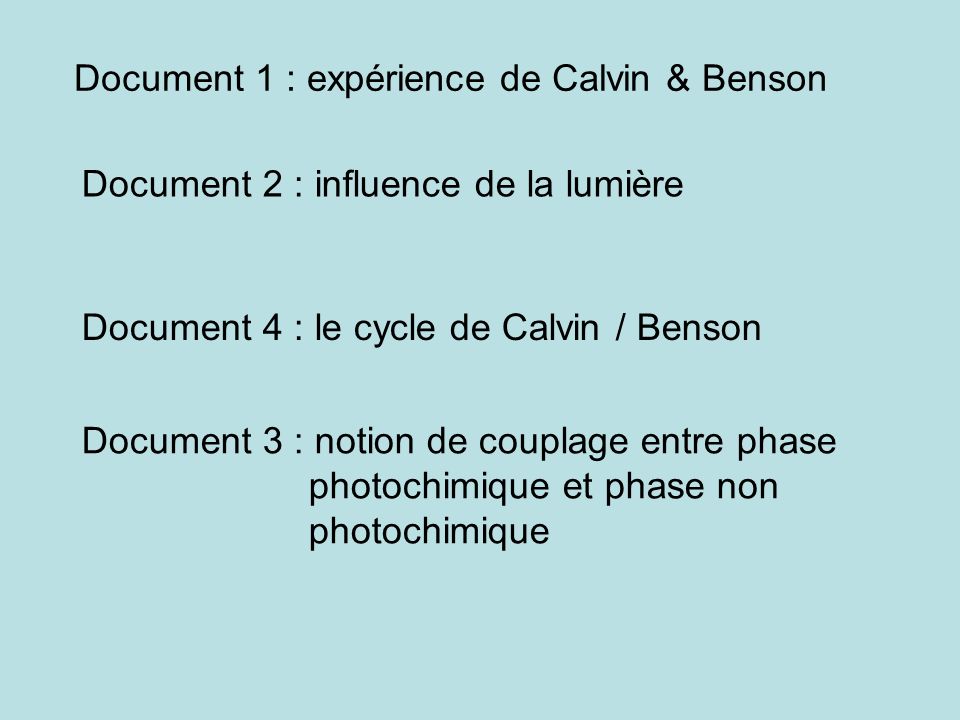 Document 1 : expérience de Calvin & Benson