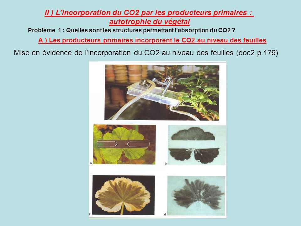 II ) L’incorporation du CO2 par les producteurs primaires :