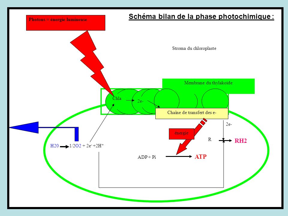 Schéma bilan de la phase photochimique :