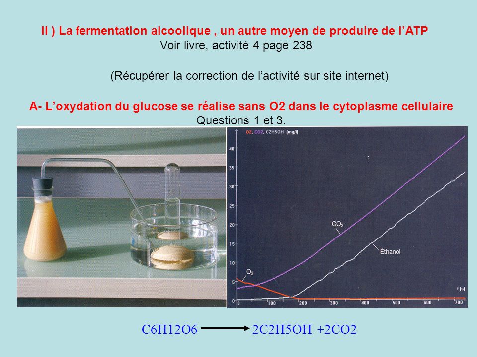 II ) La fermentation alcoolique , un autre moyen de produire de l’ATP