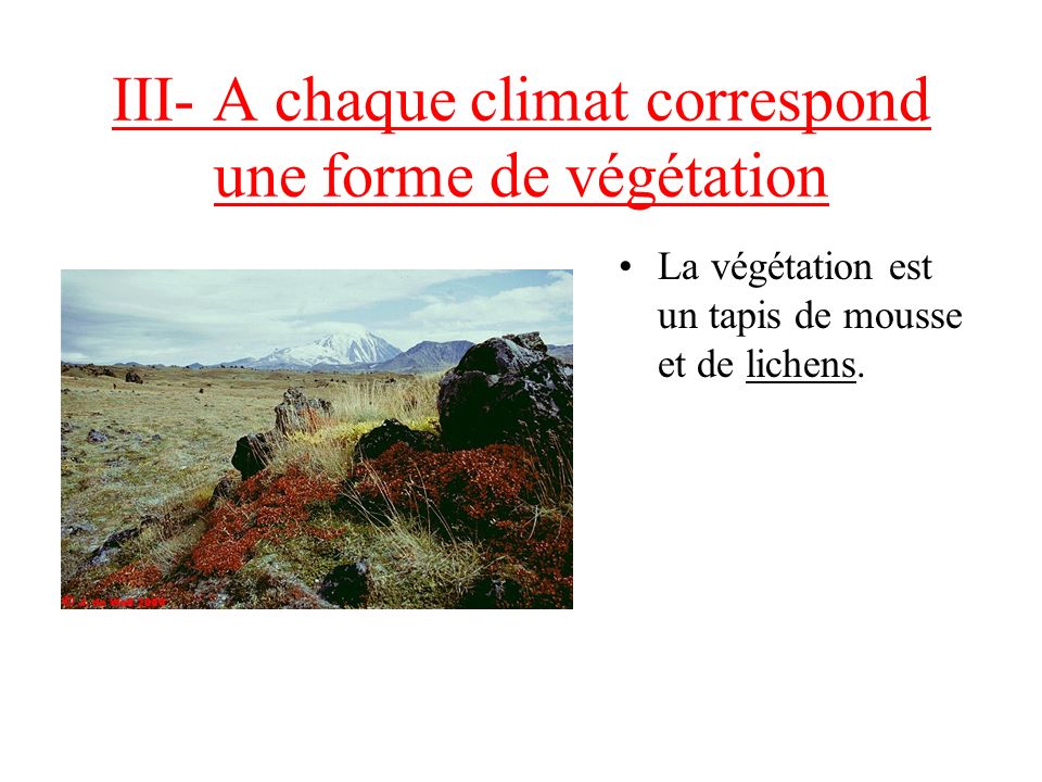 III- A chaque climat correspond une forme de végétation