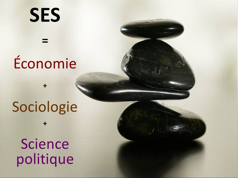 SES = Économie + Sociologie Science politique
