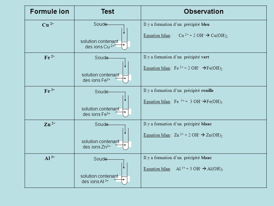Formule ion Test Observation