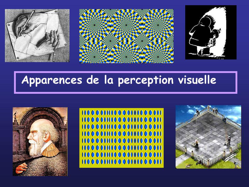 Apparences de la perception visuelle
