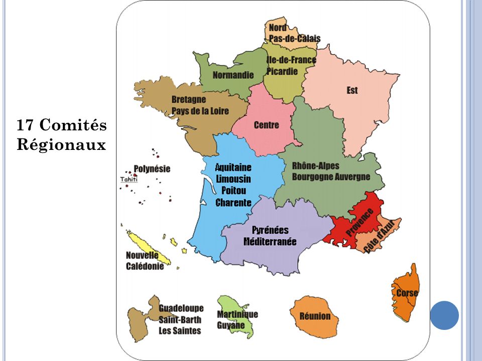 17 Comités Régionaux