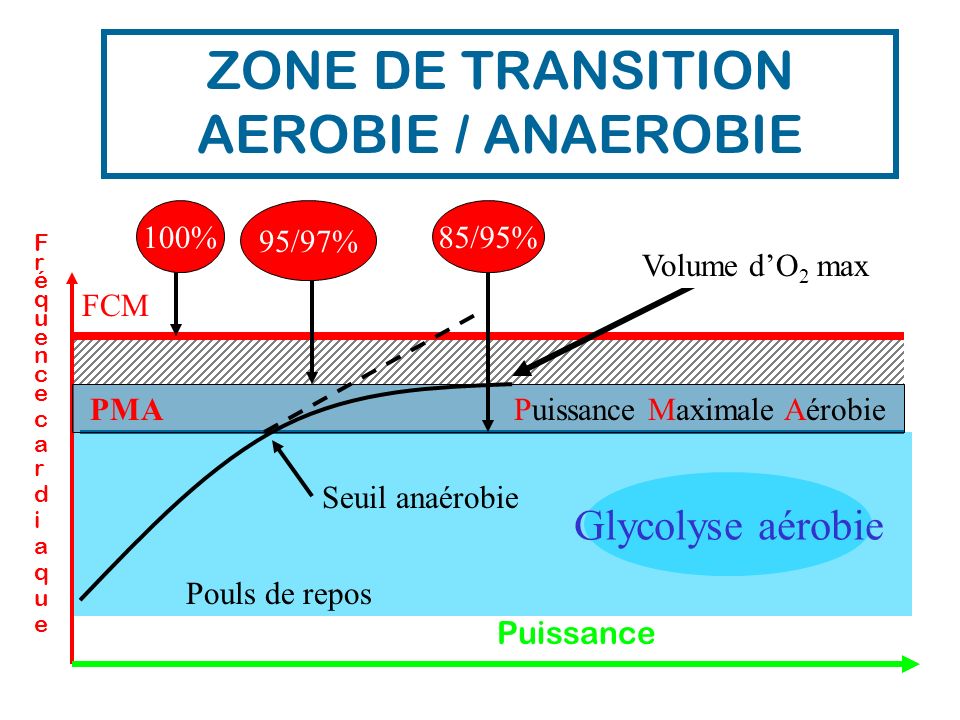 ZONE DE TRANSITION AEROBIE / ANAEROBIE
