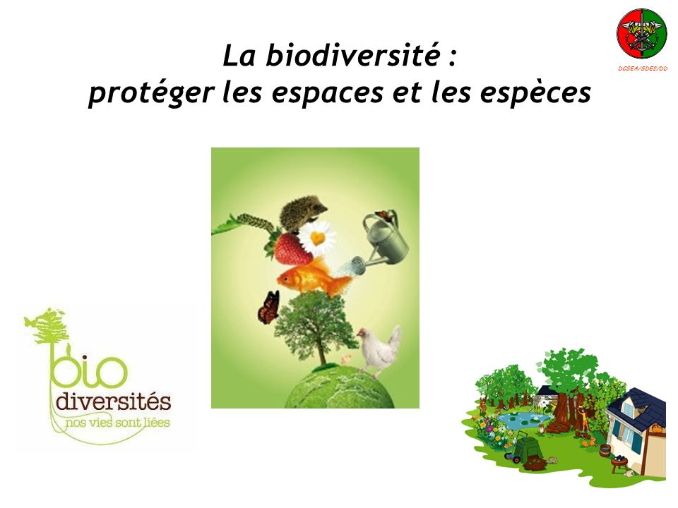 La biodiversité : protéger les espaces et les espèces