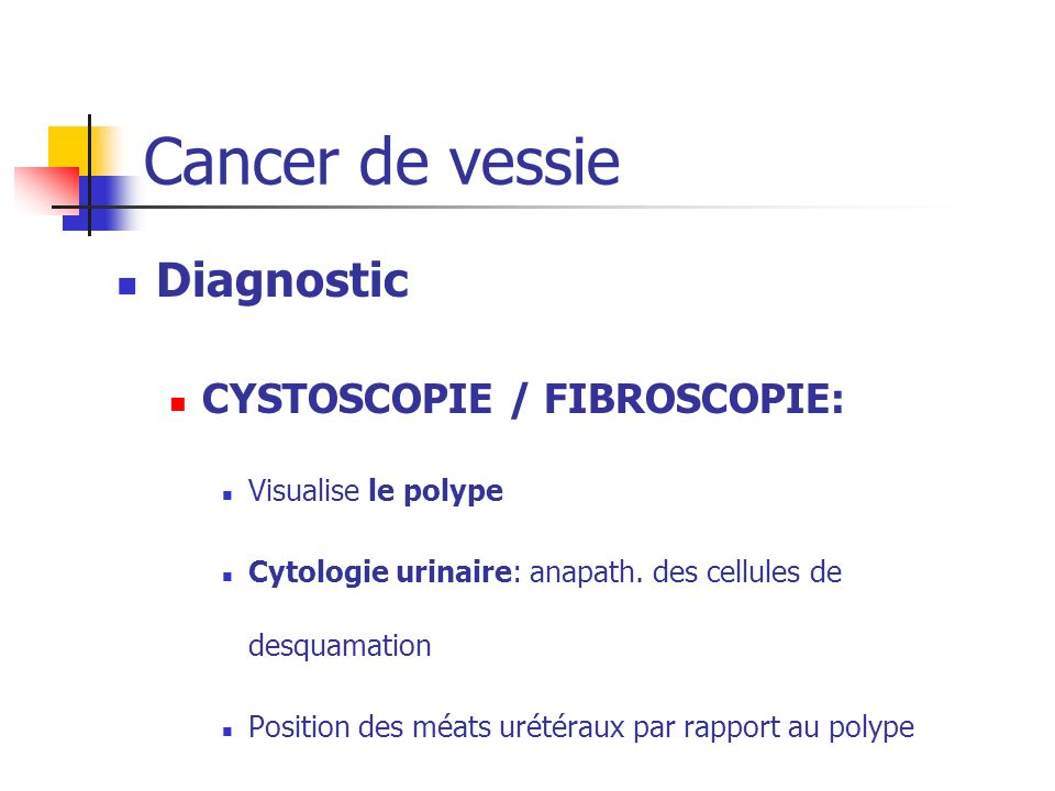 Cancer de vessie Diagnostic CYSTOSCOPIE / FIBROSCOPIE: