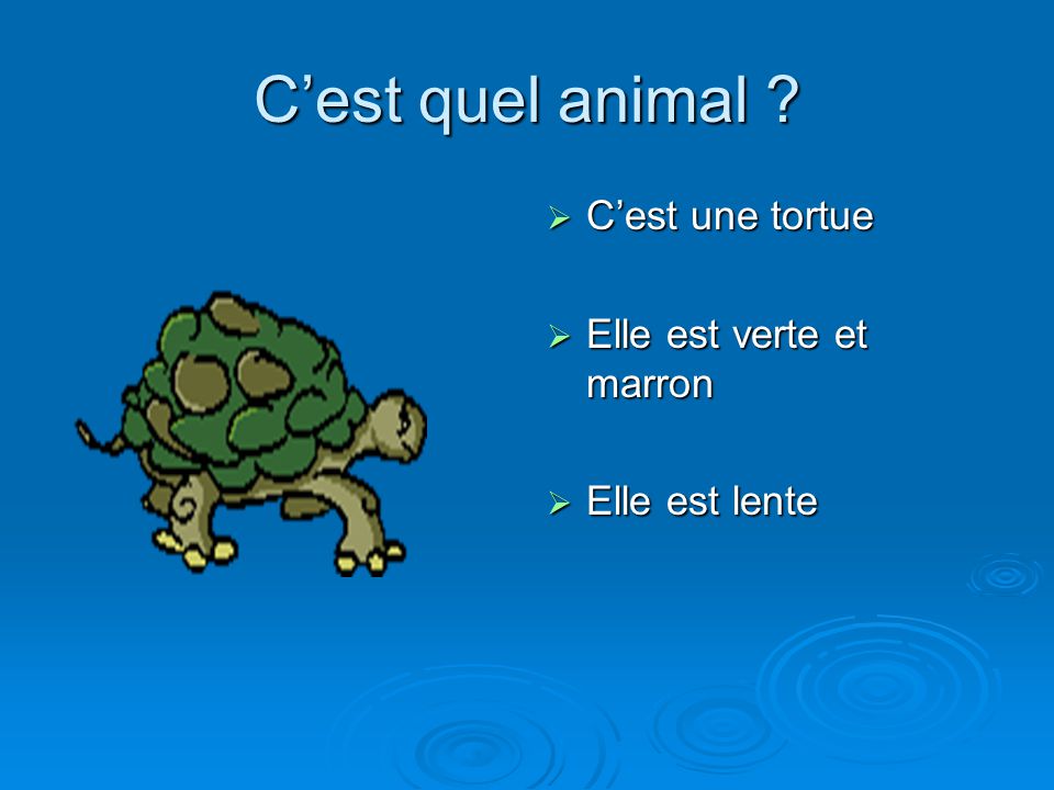 C’est quel animal C’est une tortue Elle est verte et marron
