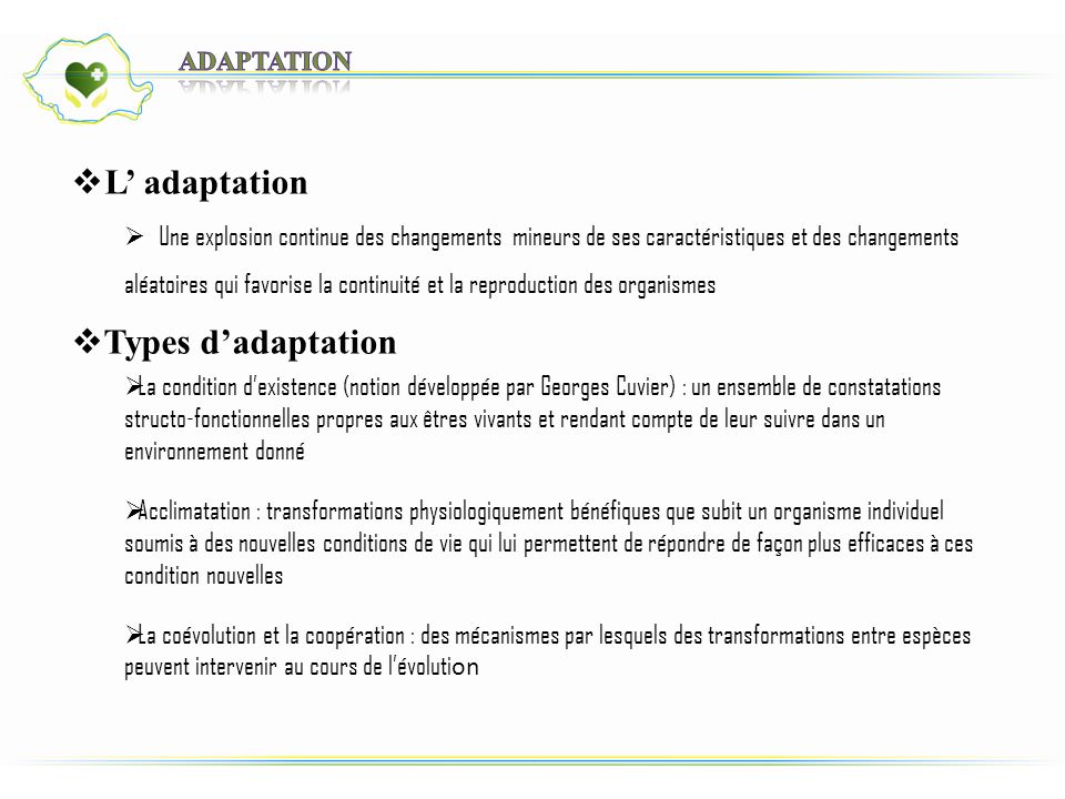 L’ adaptation Types d’adaptation Adaptation