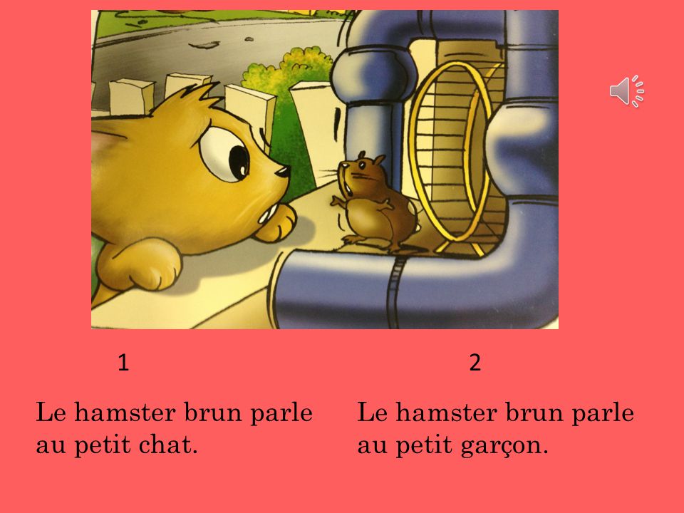 1 2 Le hamster brun parle au petit chat. Le hamster brun parle au petit garçon.