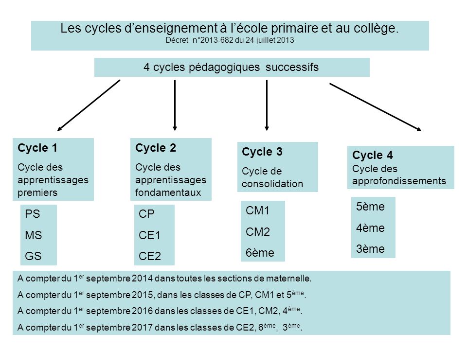 Les cycles d’enseignement à l’école primaire et au collège.
