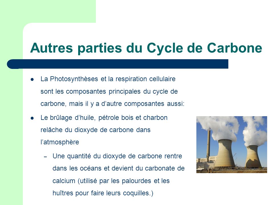 Autres parties du Cycle de Carbone