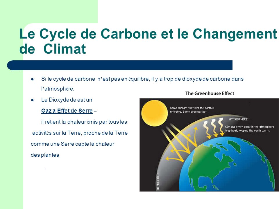 Le Cycle de Carbone et le Changement de Climat