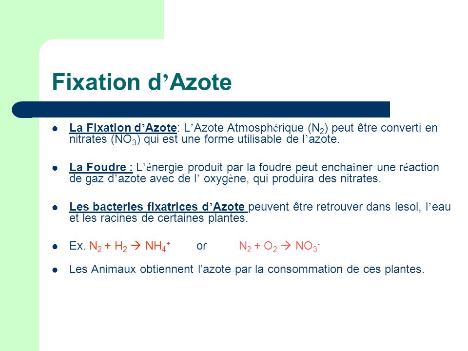 Fixation d’Azote La Fixation d’Azote: L’Azote Atmosphérique (N2) peut être converti en nitrates (NO3) qui est une forme utilisable de l’azote.