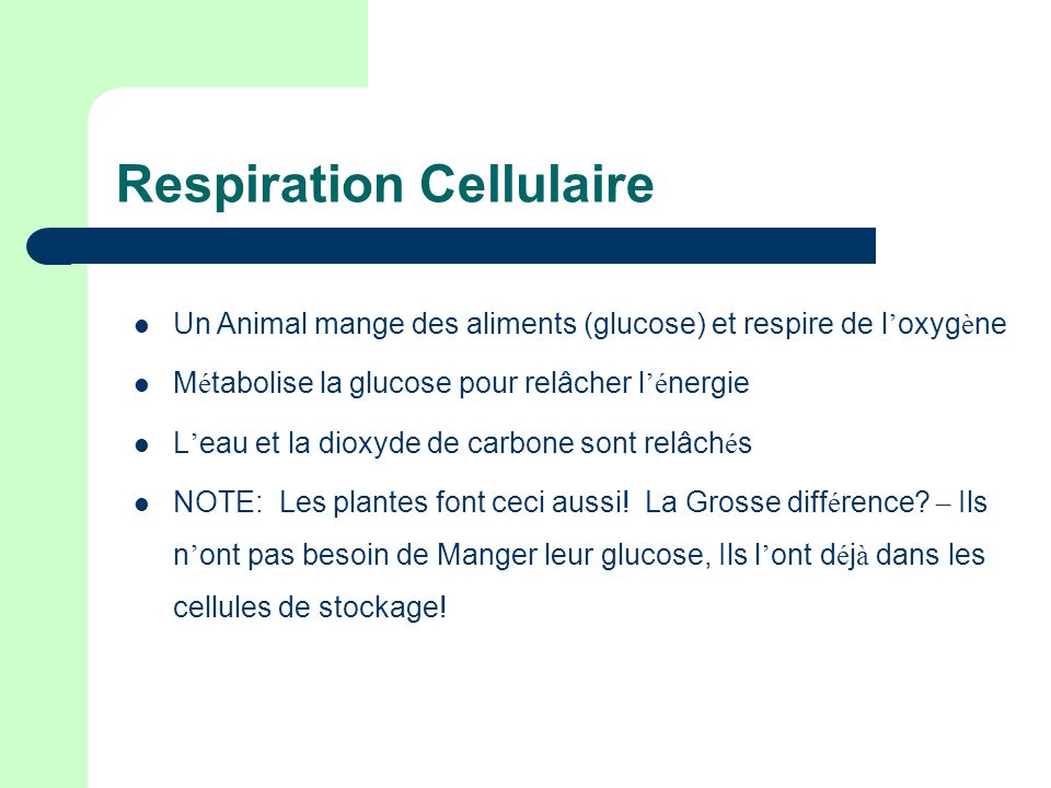 Respiration Cellulaire