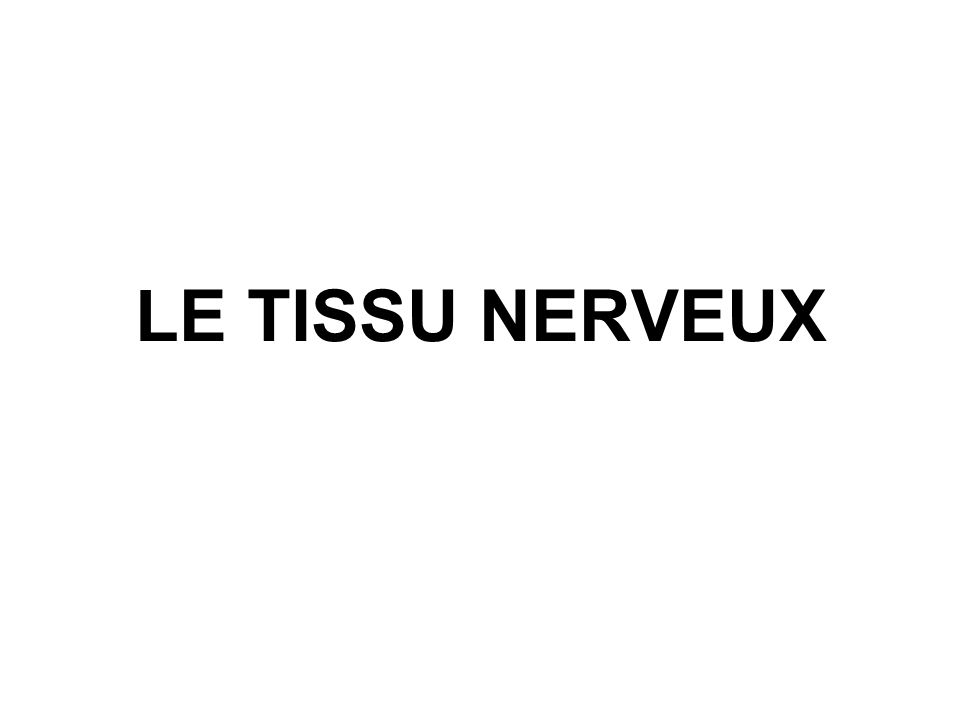 LE TISSU NERVEUX