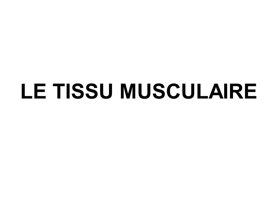 LE TISSU MUSCULAIRE
