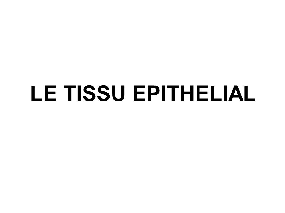 LE TISSU EPITHELIAL