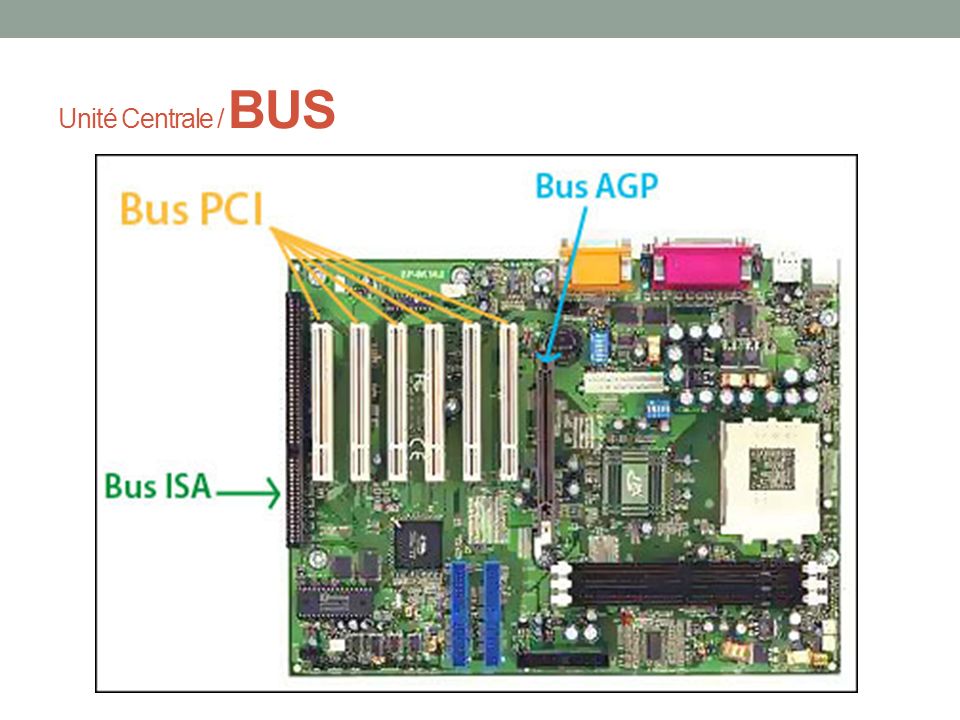 Unité Centrale / BUS Bus de données : BUS ISA BUS PCI BUS AGP