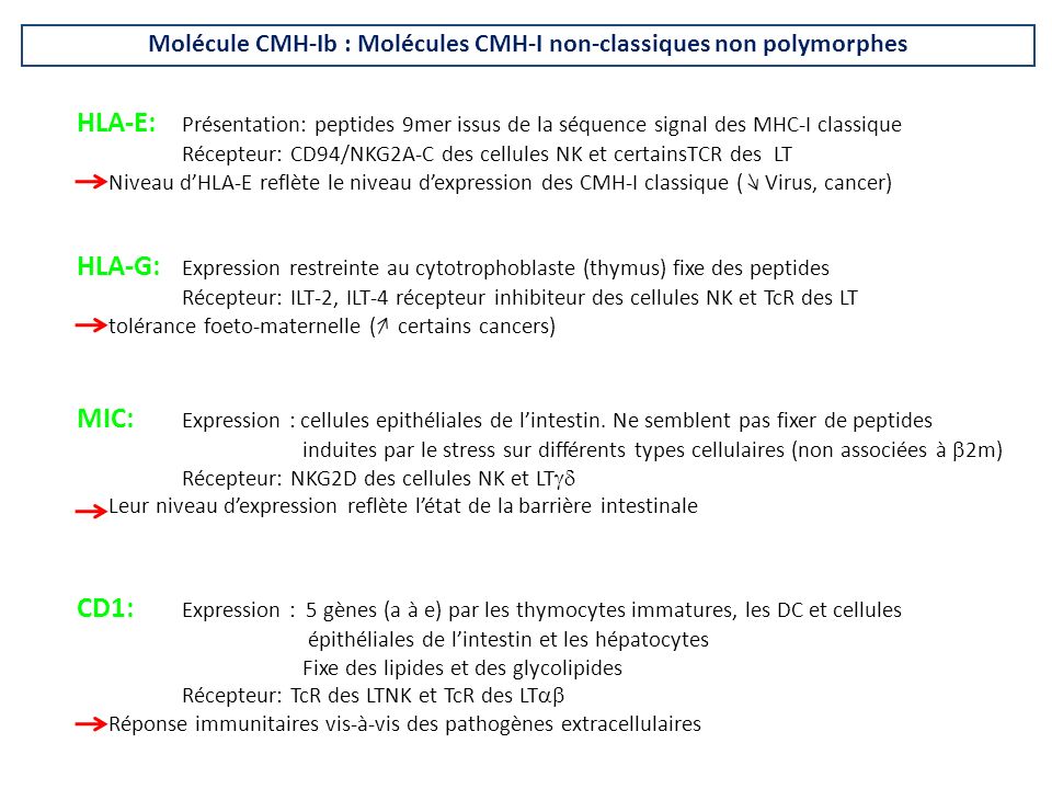 Molécule CMH-Ib : Molécules CMH-I non-classiques non polymorphes