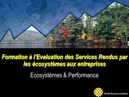 Formation à lEvaluation des Services Rendus par les écosystèmes aux entreprises Ecosystèmes & Performance World Resources Institute.