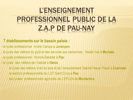 L’ENSEIGNEMENT PROFESSIONNEL PUBLIC DE LA Z.A.P DE PAU-NAY