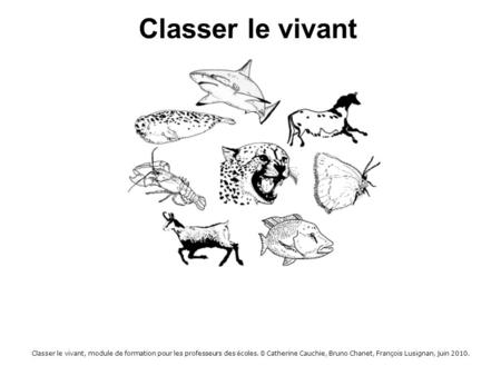 Classer le vivant  Classer le vivant, module de formation pour les professeurs des écoles. © Catherine Cauchie, Bruno Chanet, François Lusignan, juin 2010.