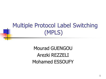 Multiple Protocol Label Switching (MPLS)